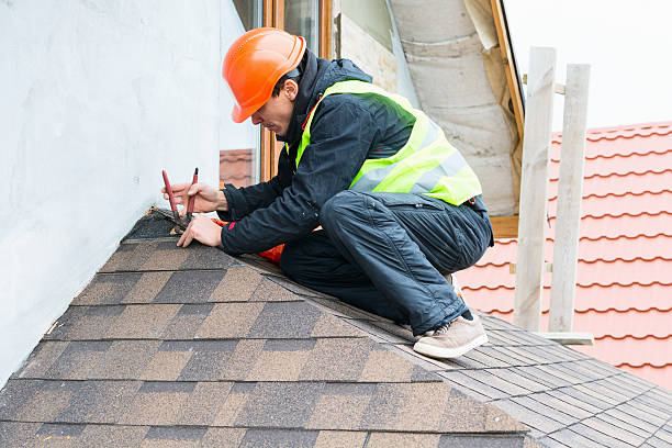Best Roof Leak Repair  in Wlow Springs, IL